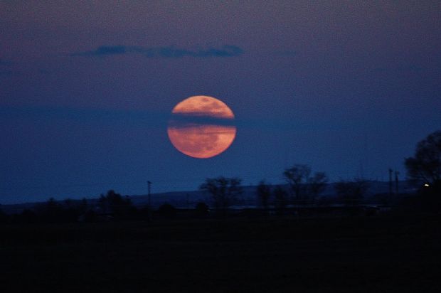 Moon
